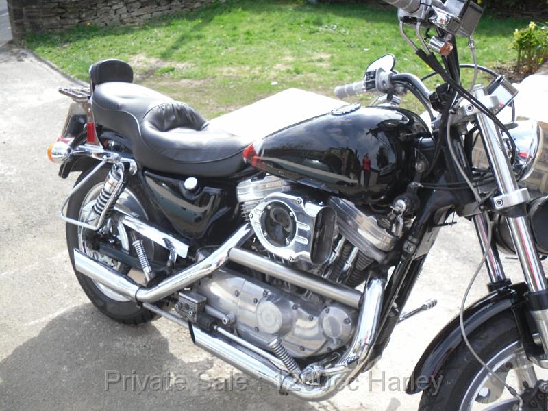 Debbie_bike_04.jpg