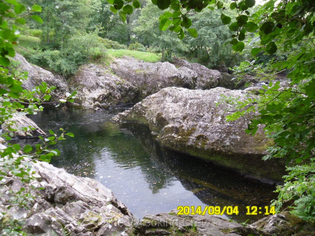 SAM_0589.JPG