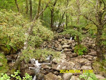 SAM_0583