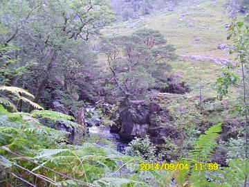 SAM_0585