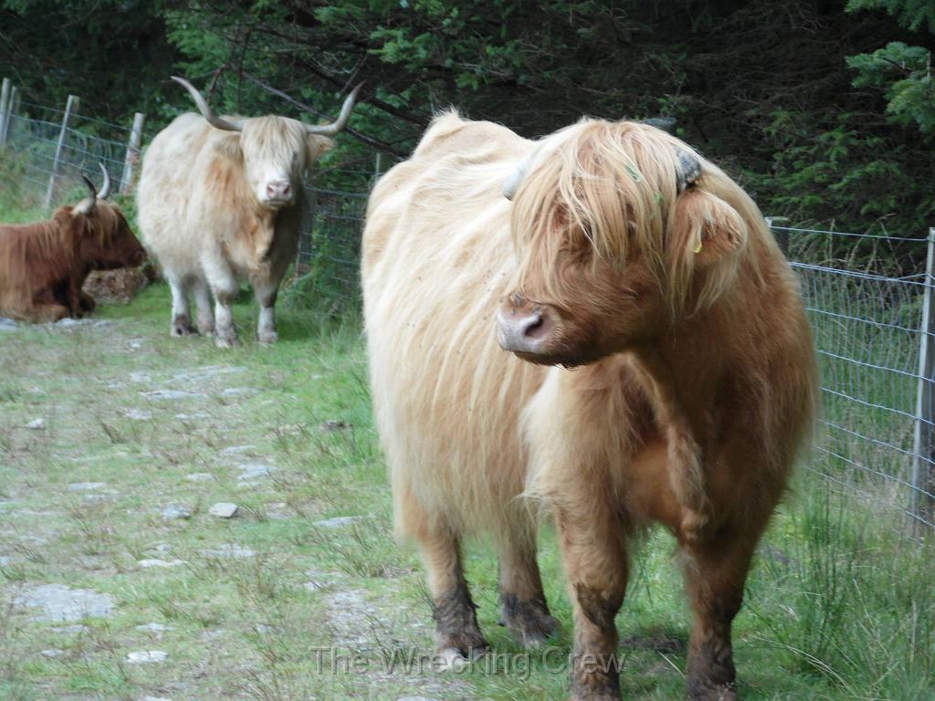 10014069_10152670970374820_1864559235166832873_o.jpg