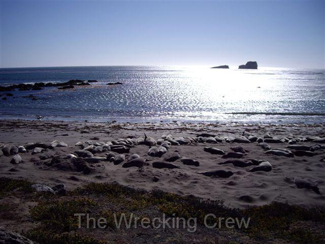 IMGP0019.JPG