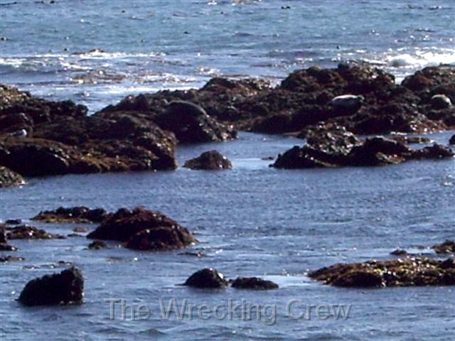 IMGP0022.JPG