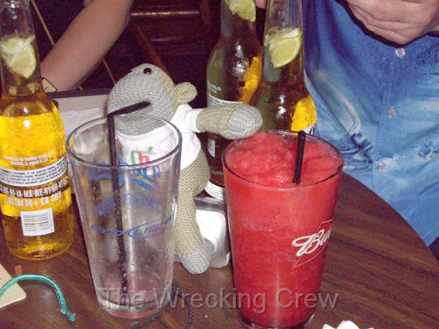 IMGP0035.JPG