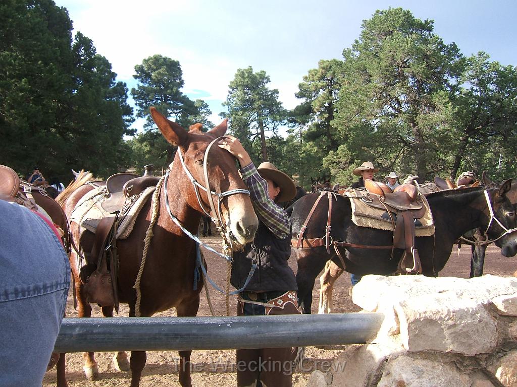 dscf3754.jpg