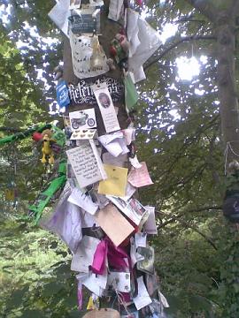 image014