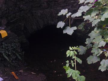 p1000409