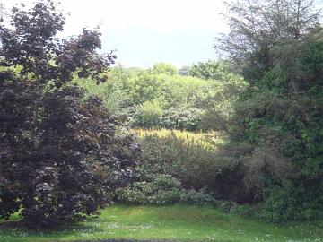 Ireland_by_Crasher_&_Jackqui_012