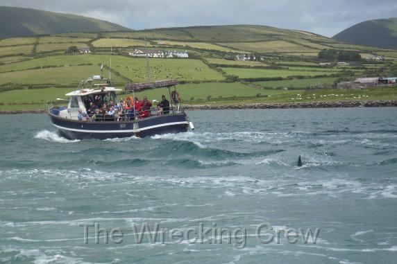 Ireland_2008_126.JPG