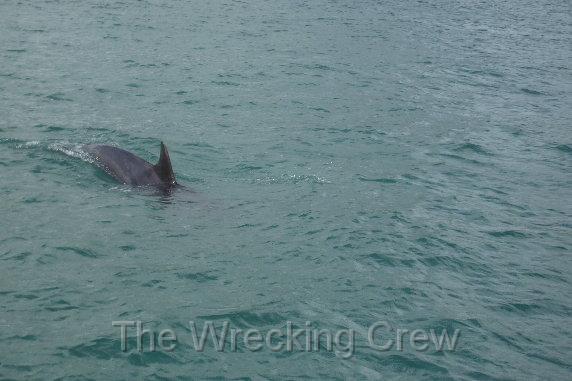 Ireland_2008_127.JPG