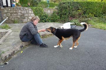 Ireland_2008_019