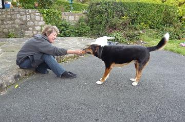 Ireland_2008_020