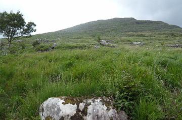 Ireland_2008_067