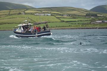 Ireland_2008_126