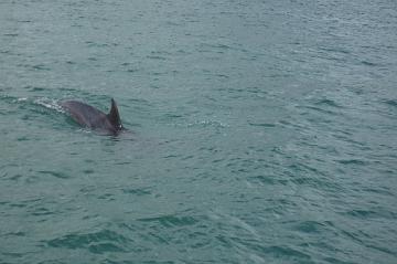 Ireland_2008_127