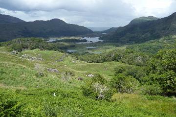 Ireland_2008_165