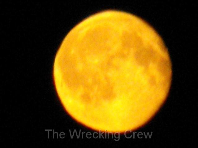 rps_pictures_246.jpg