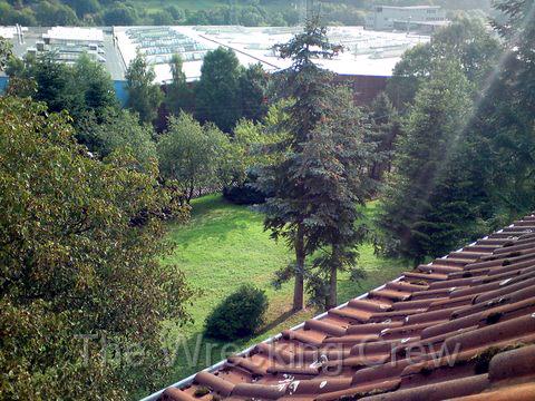 dsc00084.jpg