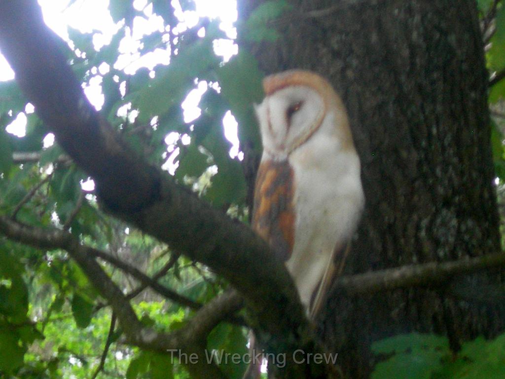 DSCN1428.JPG
