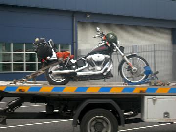 DSCN1350