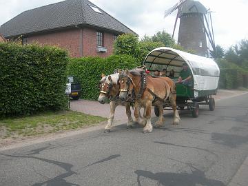 DSCN1508