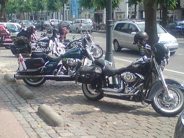 DSC00640