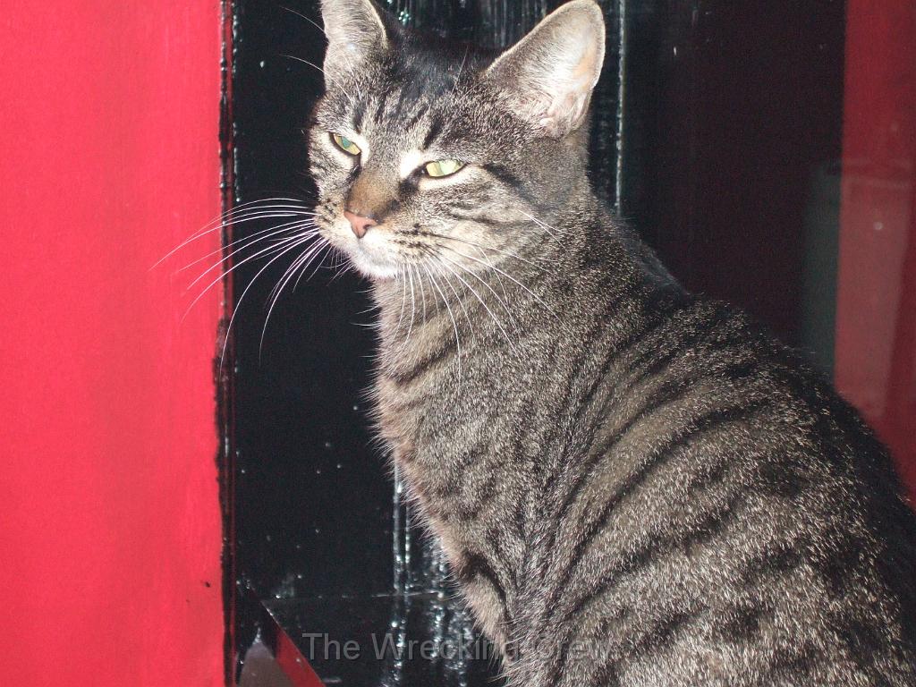 DSCF3128.JPG