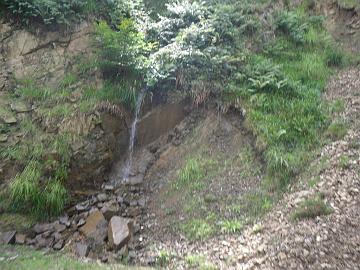 SDC11603
