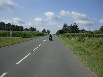 SDC11545
