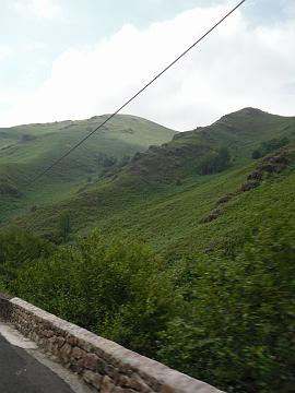 SDC11574