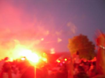 SDC11510