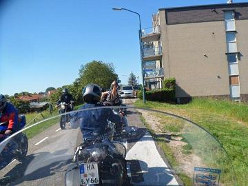 SAM_0529