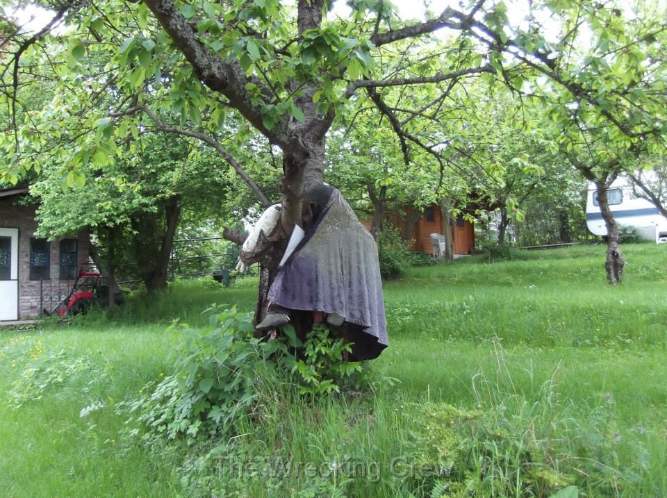 photo33.jpg
