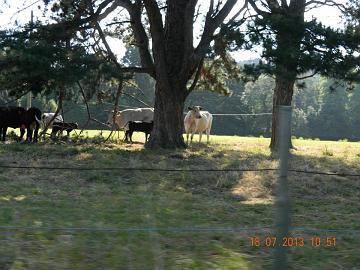 1001101_4535416004023_1272102976_n