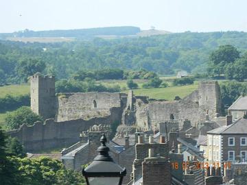 1003045_4535416124026_125652075_n