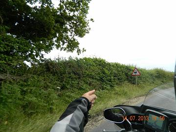 1012428_4531036894548_1423636173_n