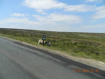 1012910_4531261700168_2070145054_n