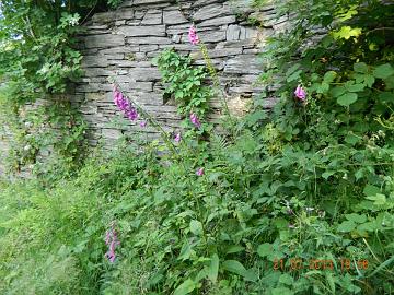 1016948_4548444169719_864815895_n