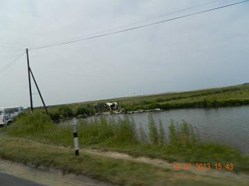 1094799_4531037854572_302889156_n