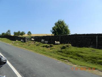 12577_4531256340034_1366110985_n