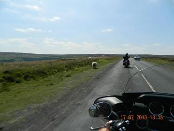 24284_4531261660167_729441302_n