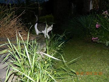 264489_4531255300008_1444444371_n