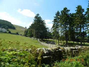 270302_4535426404283_1115234072_n