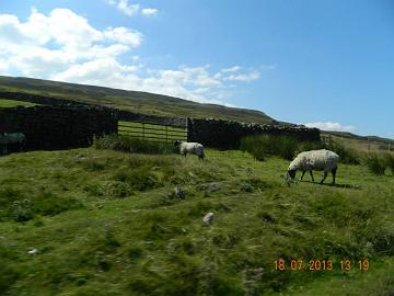 27140_4535426324281_1069502206_n