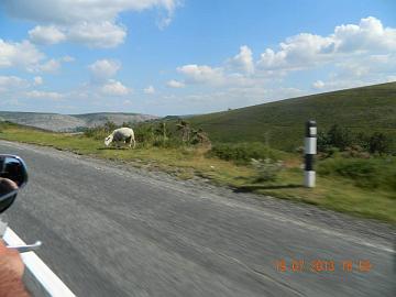 44619_4548425769259_499574422_n