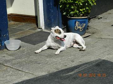 45616_4535438724591_218892852_n