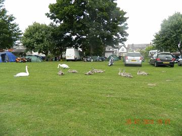 487912_4548427809310_72628440_n