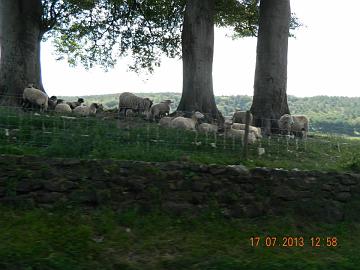 531769_4531256060027_1663707055_n