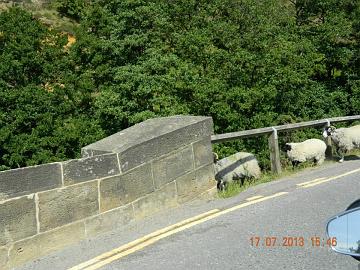 531797_4531270620391_1944663189_n