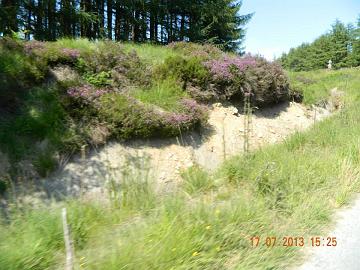 547108_4531269420361_54870912_n